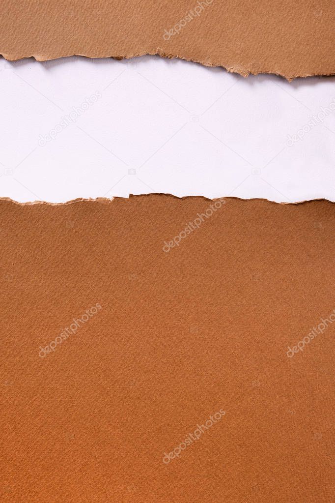 Torn brown paper strip header background vertical