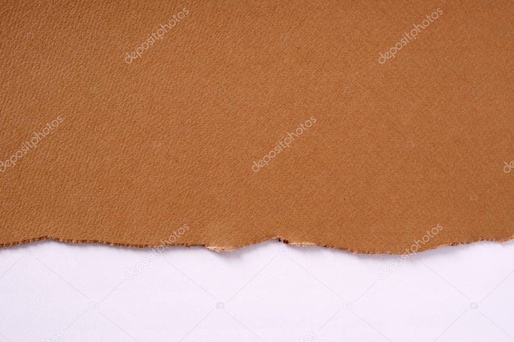Torn brown paper border white background 