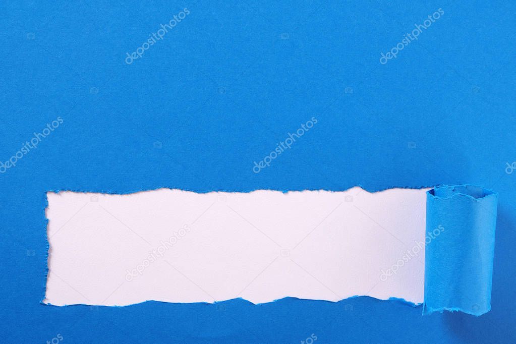 Torn blue paper strip curled edge border frame