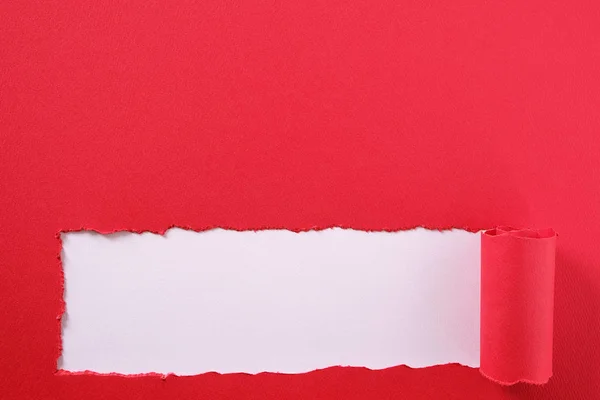 Torn red paper strip curled edge bottom border white background — Stock Photo, Image