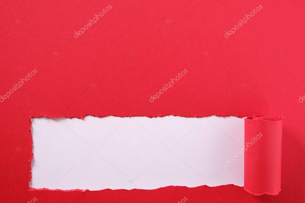 Torn red paper strip curled edge bottom border white background