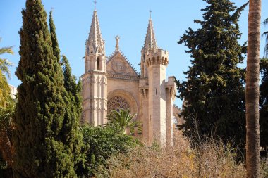 Palma Mallorca katedral Santa Maria La Seu Önden Görünüm Rüzgar gül