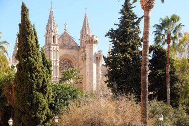 Palma Mallorca katedral Santa Maria La Seu Önden Görünüm Rüzgar gül
