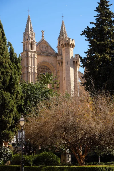 Palma Mallorca katedral Santa Maria La Seu Önden Görünüm Rüzgar gül — Stok fotoğraf