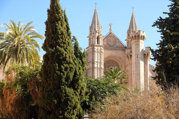 Palma mallorca kathedrale santa maria la seu frontansicht rose wind — Stockfoto