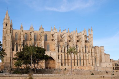 Palma de Mallorca, Ispanya-Mart 24, 2019: ünlü Gotik katedral Santa Maria La Seu yan görünümü