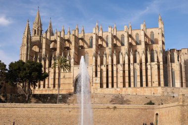 Palma de Mallorca, Ispanya-Mart 24, 2019: ünlü Gotik katedral Santa Maria La Seu yan görünümü ile göl ve Çeşme ön planda