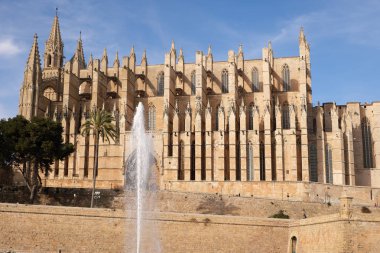 Palma de Mallorca, Ispanya-Mart 24, 2019: ünlü Gotik katedral Santa Maria La Seu yan görünümü ile göl ve Çeşme ön planda