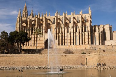 Palma de Mallorca, Ispanya-Mart 24, 2019: ünlü Gotik katedral Santa Maria La Seu yan görünümü ile göl ve Çeşme ön planda