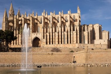 Palma de Mallorca, Ispanya-Mart 24, 2019: ünlü Gotik katedral Santa Maria La Seu yan görünümü ile göl ve Çeşme ön planda