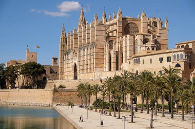 Palma de Mallorca, Ispanya-Mart 24, 2019: ön planda palmiye ağacı Bahçesi ile ünlü Gotik katedral Santa Maria La Seu sonu görünümü