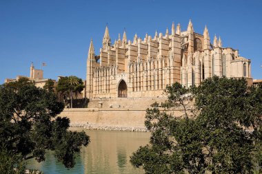 Palma de Mallorca, Ispanya-Mart 24, 2019: ünlü Gotik katedral Santa Maria La Seu yan görünümü