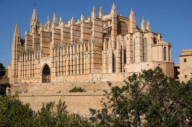 Palma de Mallorca, Ispanya-Mart 24, 2019: ünlü Gotik katedral Santa Maria La Seu yan görünümü