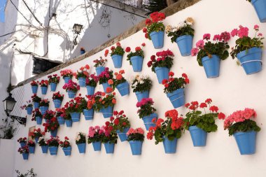 Endülüs Ispanya beyaz badanalı köy çiçeği ekranı