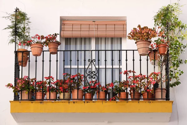 Andalucia spanien weiß getünchtes dorf blumentopf balkonterrasse display — Stockfoto