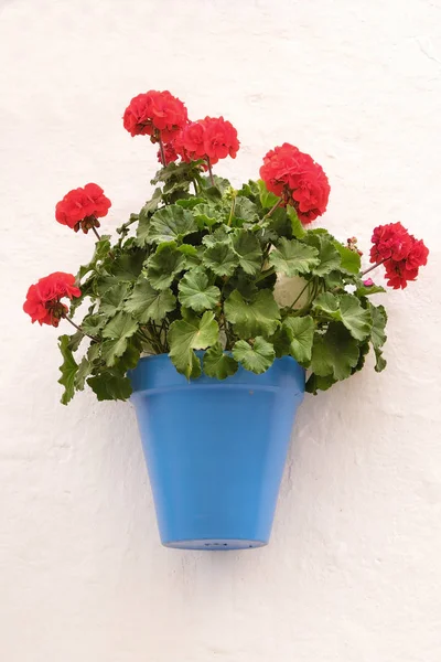 Andalusien Spanien weiß getünchte Dorf Blumentopf Wanddisplay — Stockfoto