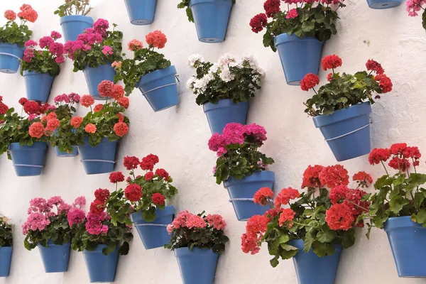 Andalucia Spain whitewashed village flower pot wall display — Stock Photo, Image