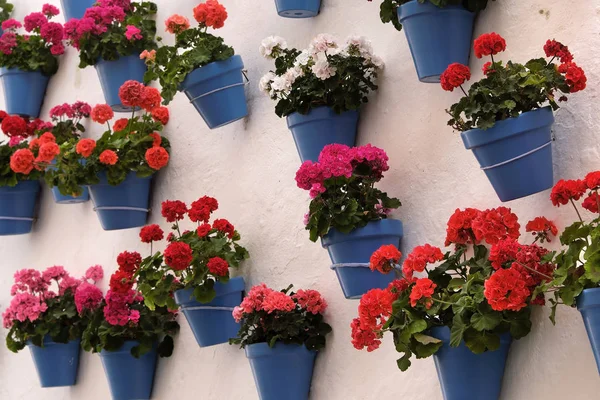 Andalusien Spanien weiß getünchte Dorf Blumentopf Wanddisplay — Stockfoto