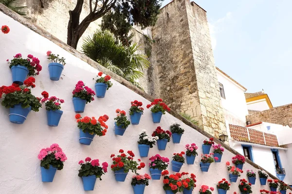 Marbella Spain whitewashed old town flower pot wall display — Stock Photo, Image