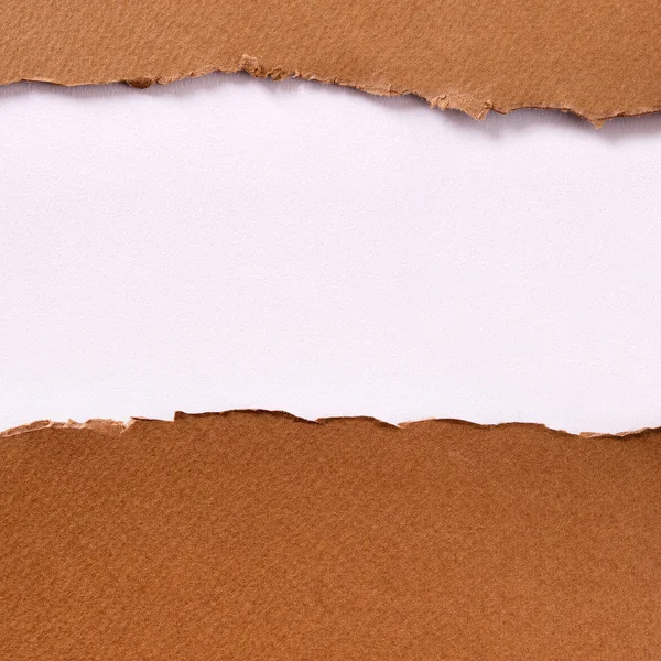 Déchiré bande de papier brun fond blanc — Photo