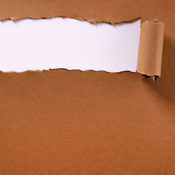 Torn brown paper long rolled edge header frame white background — Stock Photo, Image