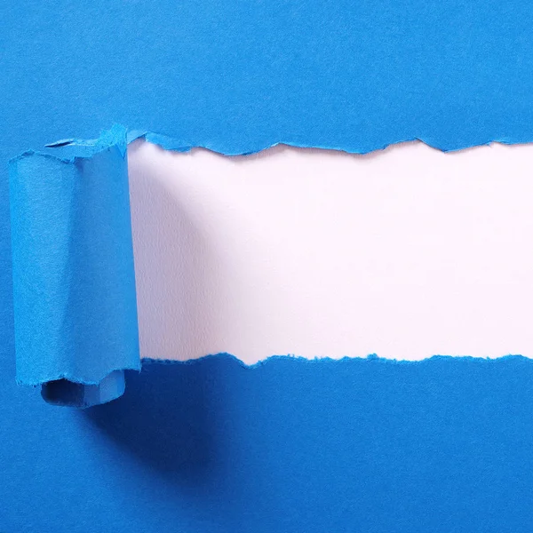 Torn blue paper strip curled edge border white background — Stock Photo, Image