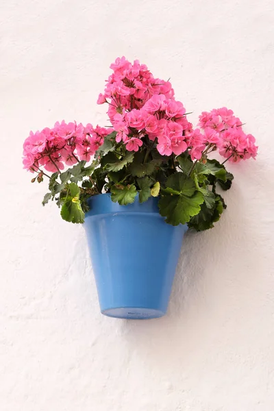 Andalusien Spanien traditionelle weiß getünchte Dorf Blumentopf Wanddisplay — Stockfoto