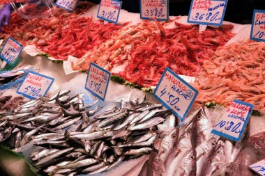 Palma Mallorca, İspanya - 20 Mart 2019 : yerel balık pazarı tezgahında satılık taze balık ve deniz ürünleri gösterisi