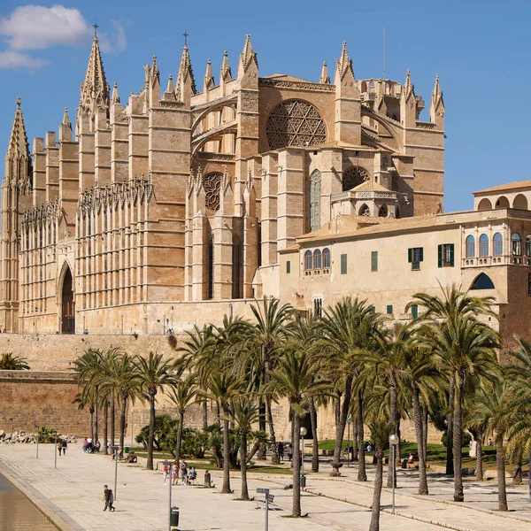 Palma de Majorque, Espagne - 24 mars 2019 : vue d'extrémité de la célèbre cathédrale gothique Santa Maria La Seu avec jardin de palmiers au premier plan — Photo