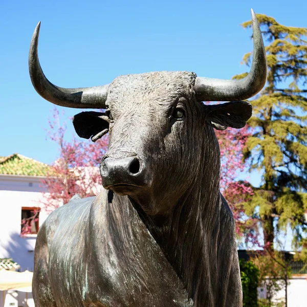 Ronda, Andalucía, España - 16 de marzo de 2019: Estatua de bronce de un toro de combate situado fuera de la histórica plaza de toros de Ronda, España — Foto de Stock