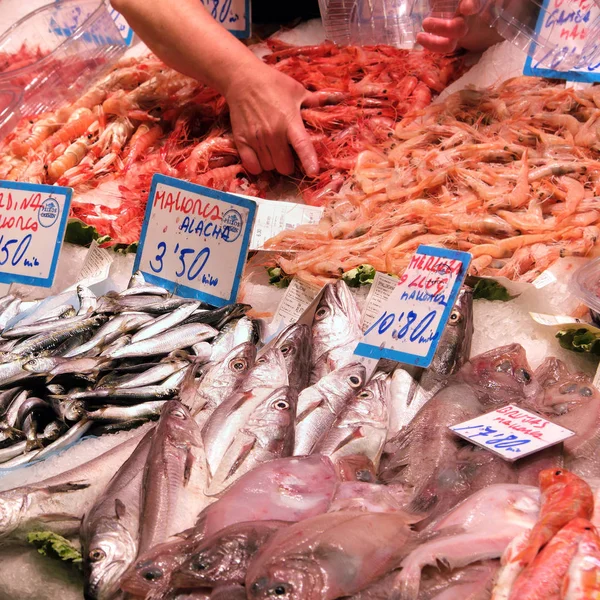 Palma Mallorca, İspanya - 20 Mart 2019 : yerel balık pazarı tezgahında satılık taze balık ve deniz ürünleri gösterisi