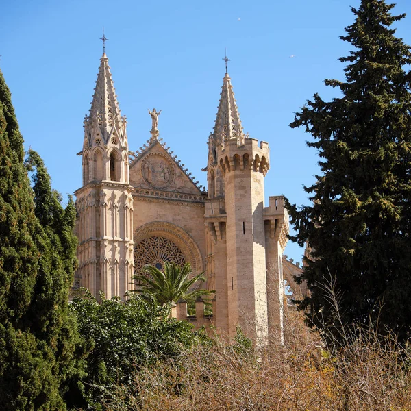Palma Mallorca catedral Santa Maria La Seu frente vista rosa janela — Fotografia de Stock