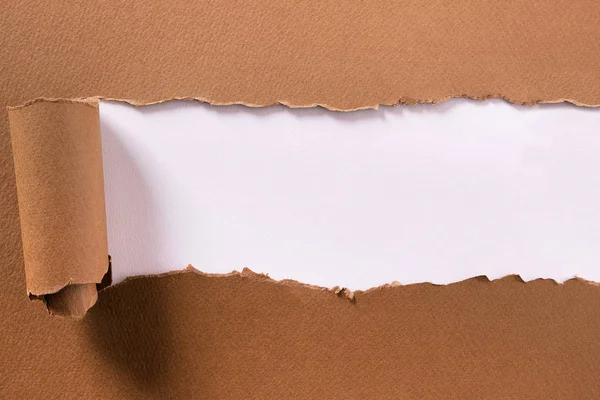 Torn brown paper center strip white background curled edge