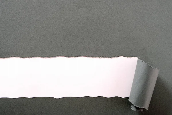 Torn gray paper strip white background curled edge