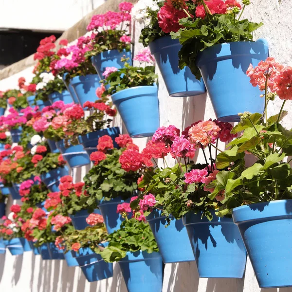 Andalucia Marbella Spain whitewashed village flower pot wall display Royalty Free Stock Images