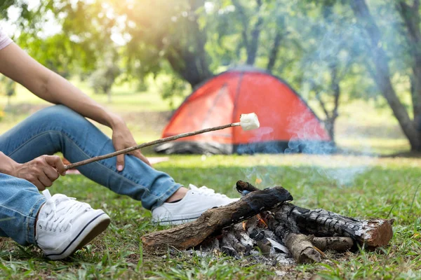 Arrosto Dolce Fiamme Campeggio Nel Campeggio Natura Divertimento — Foto Stock