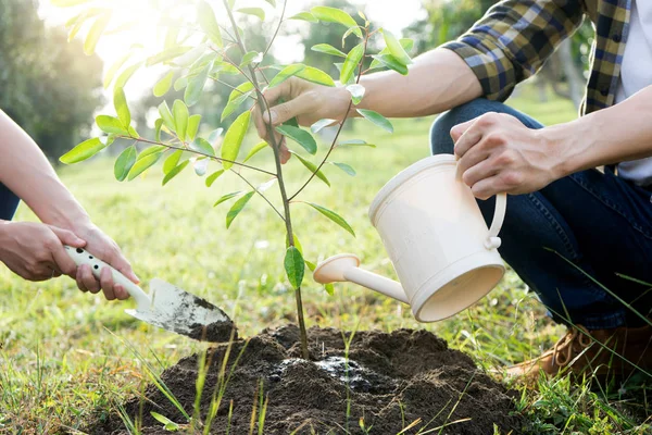 Joven Hombre Mujer Plantar Árbol Bosque Acción Aire Libre Para —  Fotos de Stock