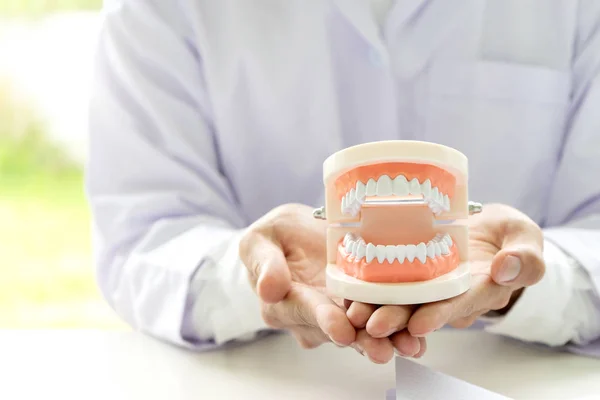 Dentysta Praca Stole Denture Papieru Rentgenowskiego Zębów Dla Zdrowia Jamy — Zdjęcie stockowe