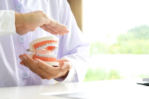 Trabalho Dentista Mesa Com Papel Raios Dentes Dentadura Para Saúde — Fotografia de Stock