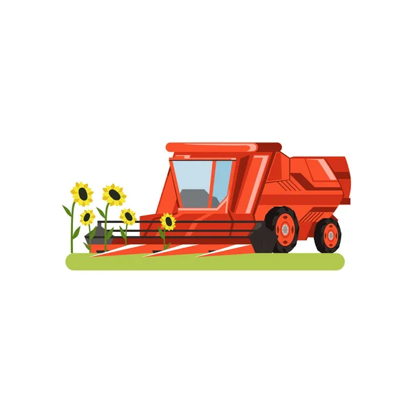 Combine harvester working in field gathering sunflowers, agricultural machinery vector isolated on a white background — Stock Vector