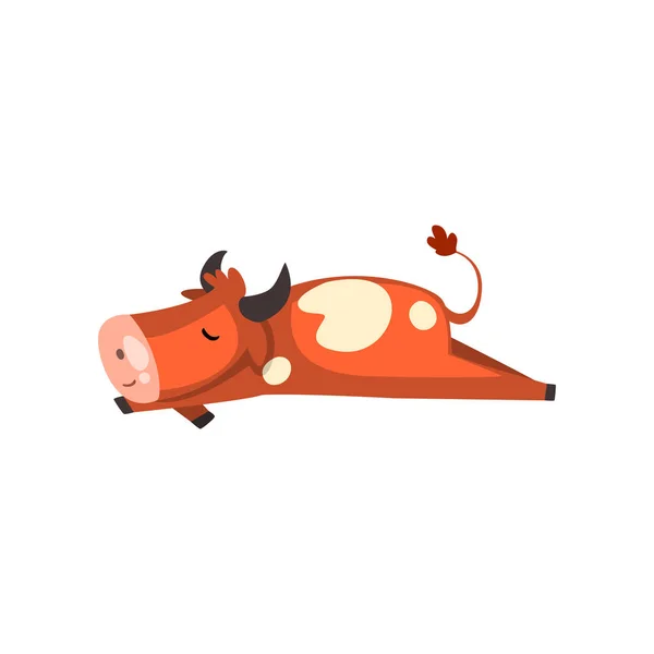 Lindo marrón vaca manchada durmiendo, divertido animal de granja de dibujos animados personaje vector Ilustración sobre un fondo blanco — Vector de stock