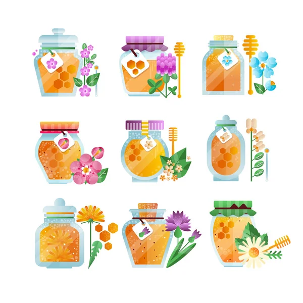 Frascos de vidrio de miel de hierbas, miel orgánica dorada natural y flores silvestres vector Ilustraciones sobre un fondo blanco — Vector de stock