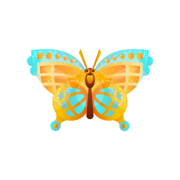 Beautiful butterfly insect vector Illustration on a white background — Stock Vector