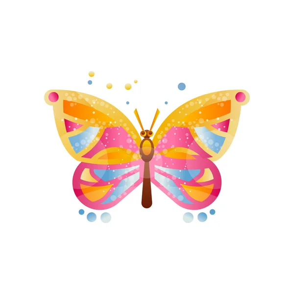 Beautiful butterfly vector Illustration on a white background — Stock Vector