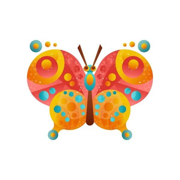 Colorful butterfly insect vector Illustration on a white background — Stock Vector