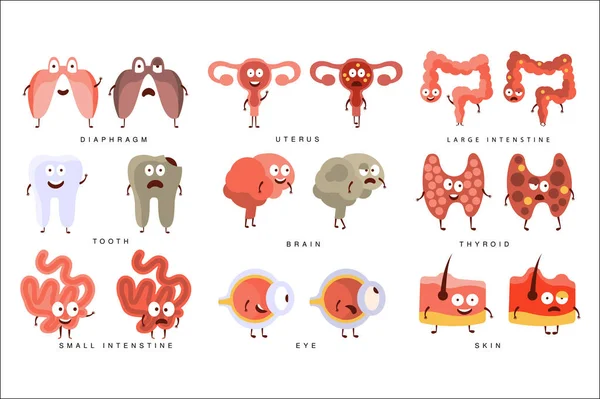 Healthy vs Unhealthy Human Organs Infographic Illustration — Stock Vector