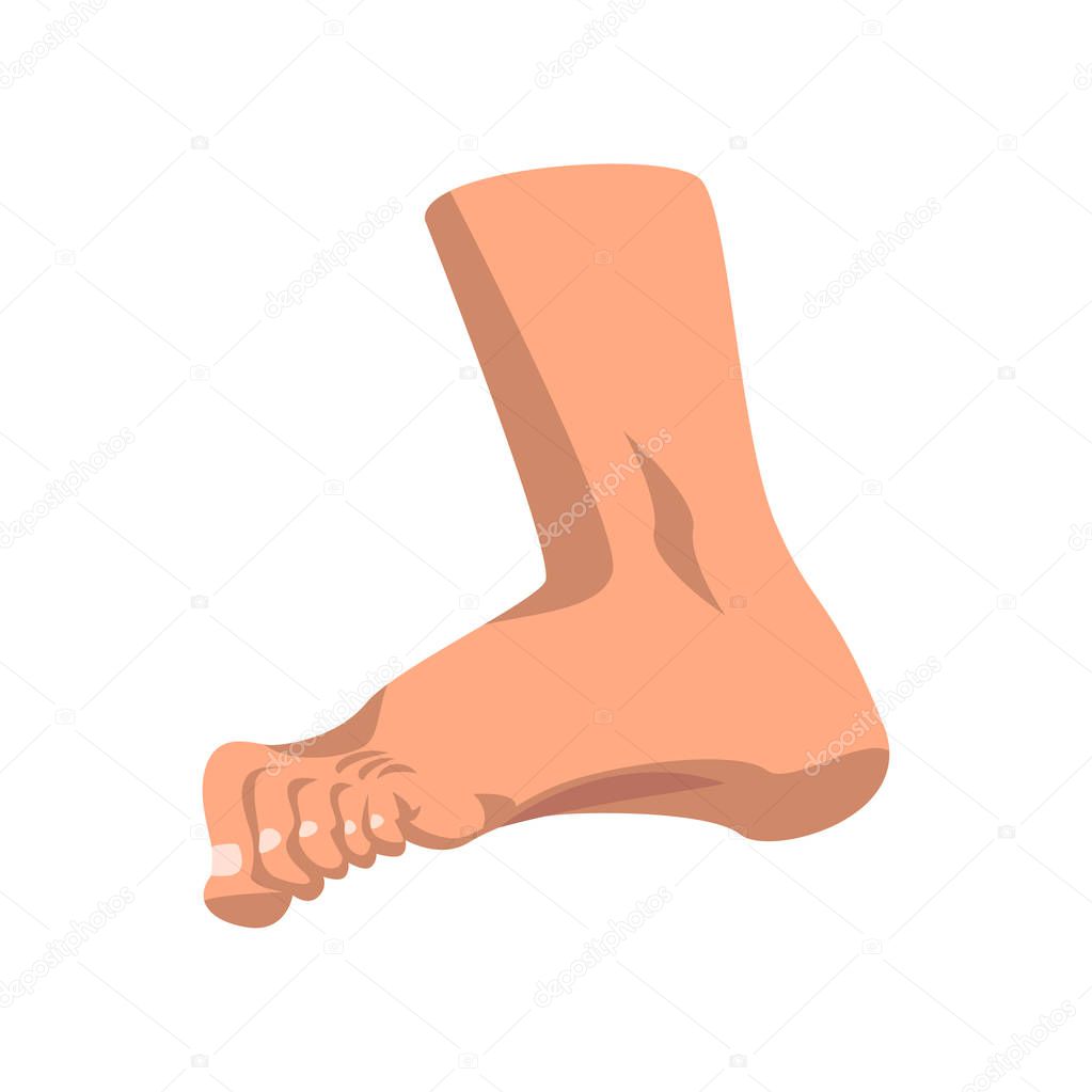 Human foot standing, side view vector Illustration on a white background