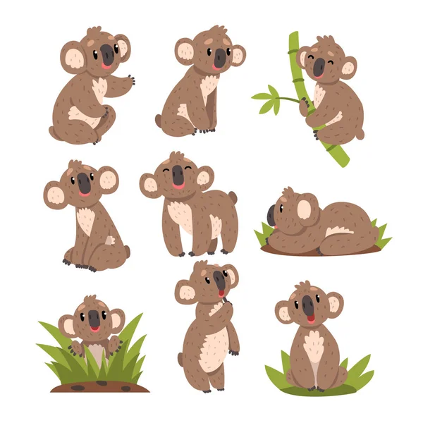 Koala set oso, personaje animal marsupial australiano en diferentes situaciones vector Ilustraciones sobre un fondo blanco — Vector de stock
