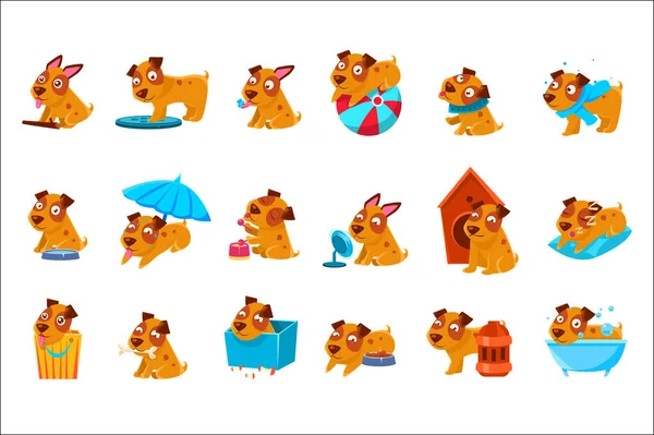 Evde beslenen hayvan köpek yavrusu günlük faaliyetleri Set