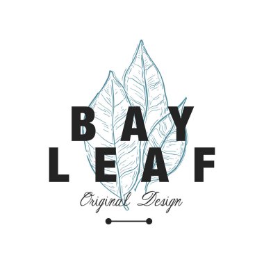Defne yaprağı logo özgün tasarımı, aromatik mutfak baharatlı ot amblemi vektör çizim beyaz bir arka plan